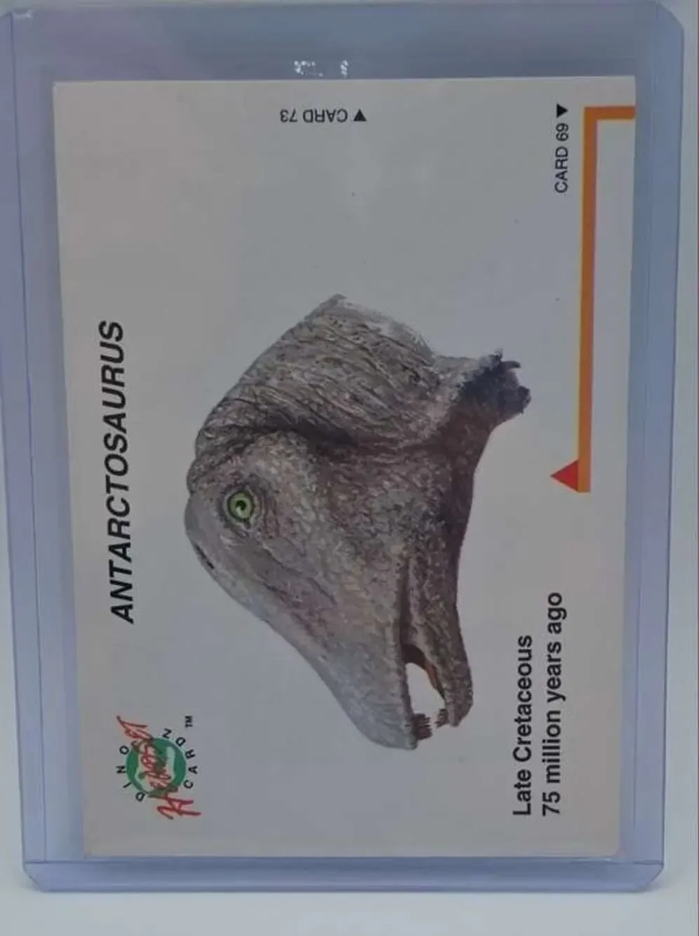 1992 DinoCardz #72 Antarctosaurus Card